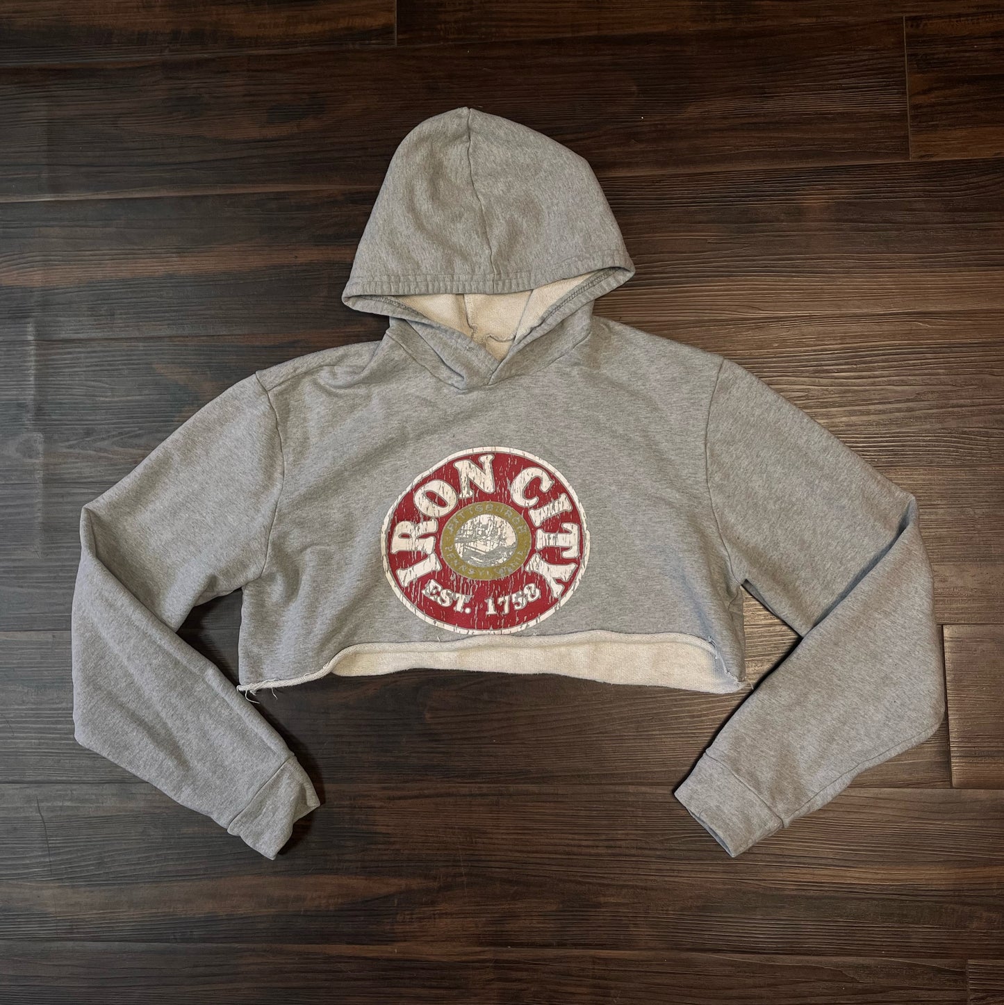 Iron city beer, gray crop top long sleeve hoodie Size: Large